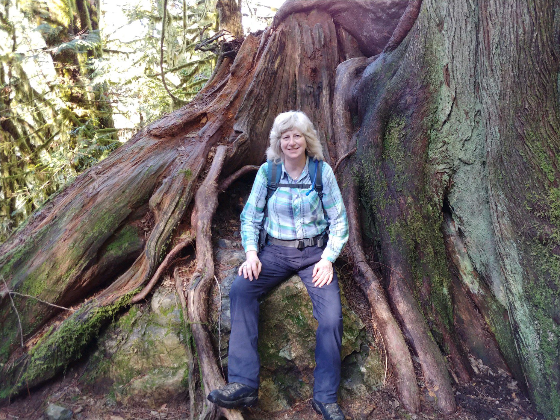Nature's Renewal - Lauralie
